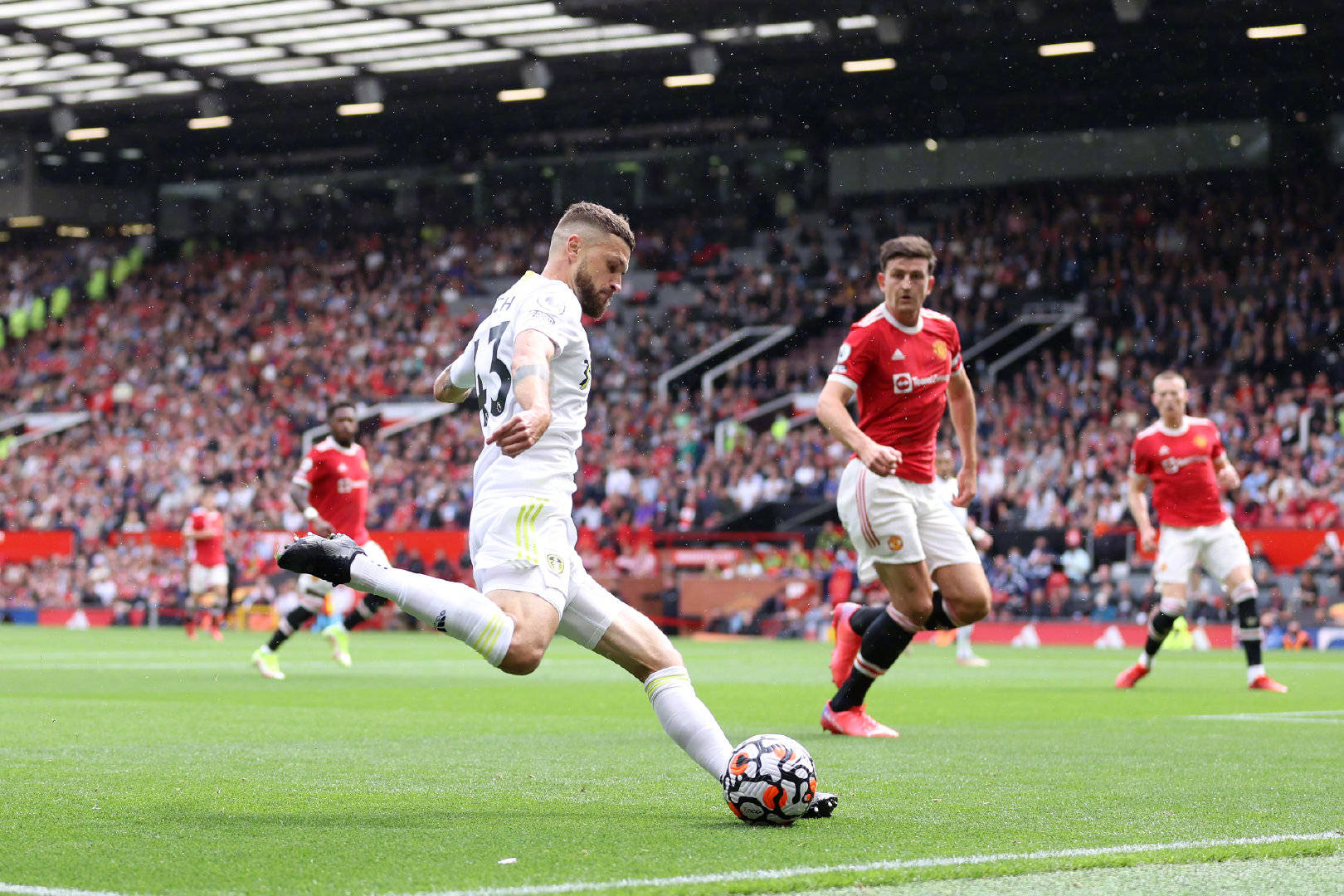 探讨了生存 探讨了生存