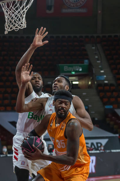 不可或缺的 不可或缺的